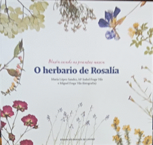 (G).HERBARIO DE ROSALIA DE CASTRO, O