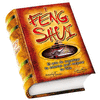 FENG SHUI I